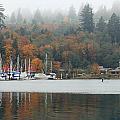 Gig Harbor in the Fog