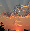 Morning Rays